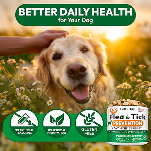 Flea and Tick Prevention for Dogs Pills - 170 Soft Chewables - Natural Dog Flea & Tick Control - Oral Defense Treatment for Dogs Supplement - Vet Formulated Chews - All Breeds & Ages - Made in USA