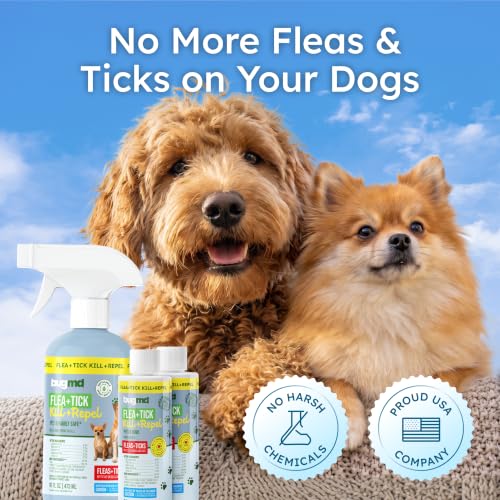 BugMD Flea and Tick Spray for Dogs - Kills & Repels on Contact | Plant-Powered Treatment for Home, Furniture and Carpet - Makes 32 oz | Starter Kit