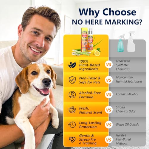 Bitter Apple Spray & Dog Potty Training Spray, 2-in-1 Dog Deterrent Spray to Stop Chewing, Marking and Gnawing, Anti‑Chew Training Aid for Furniture, Carpet, Floors & Shoes, Indoor and Outdoor Use
