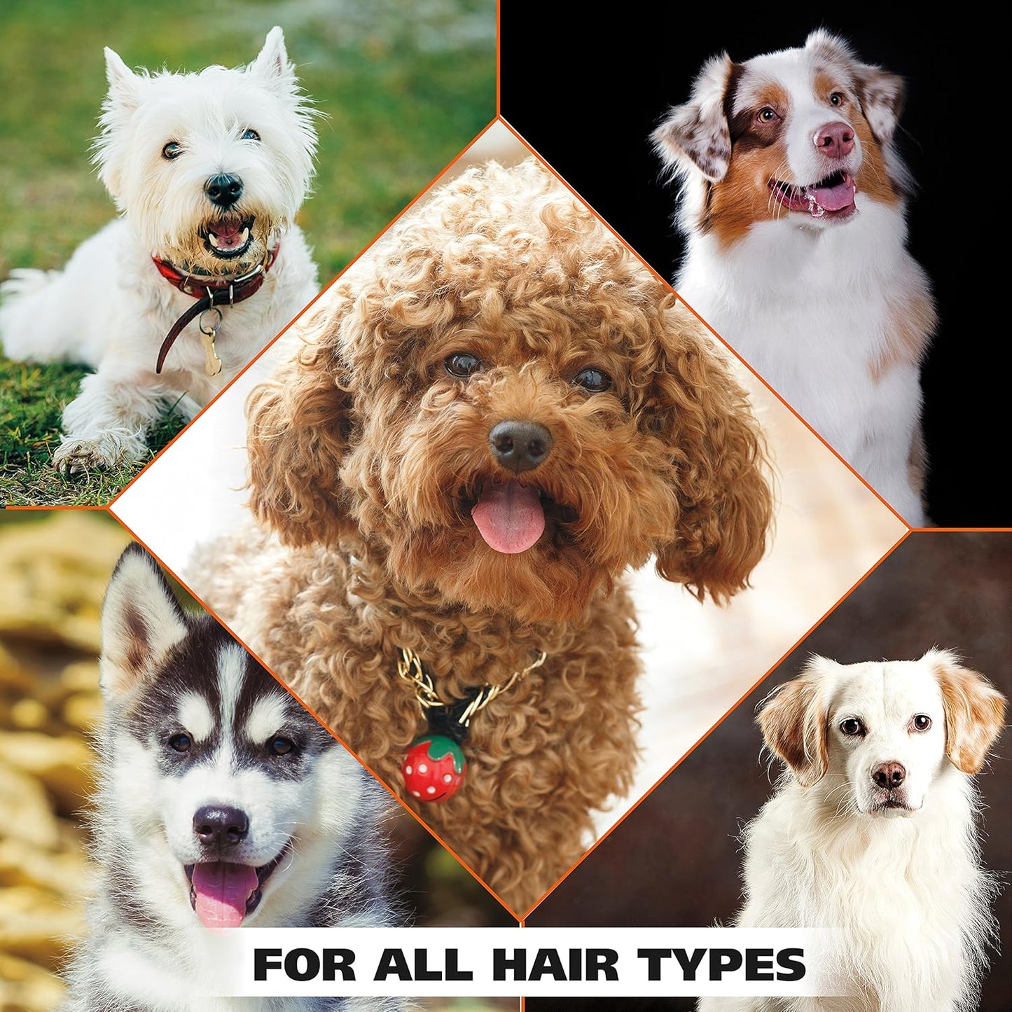 Wahl USA Dry Skin & Itch Relief Pet Shampoo for Dogs ‰ÛÒ Oatmeal Formula with Coconut Lime Verbena Scent & Pet Friendly Formula, 24 Oz - Model 820004A