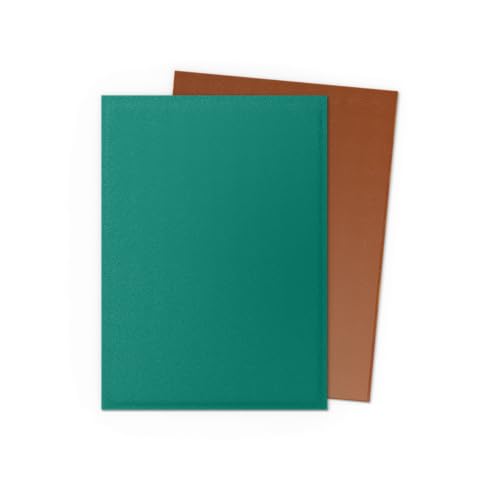 Dragon Shield | Matte Dual Standard Size Card Sleeves | 100ct - Smooth & Tough Premium TCG Sleeves - Compatible with Pokemon, One Piece, and Magic: The Gathering | Power & Copper