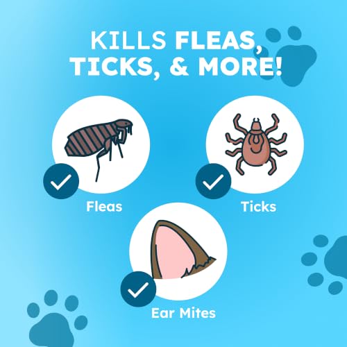 BugMD Flea and Tick Spray for Dogs - Kills & Repels on Contact | Plant-Powered Treatment for Home, Furniture and Carpet - Makes 32 oz | Starter Kit