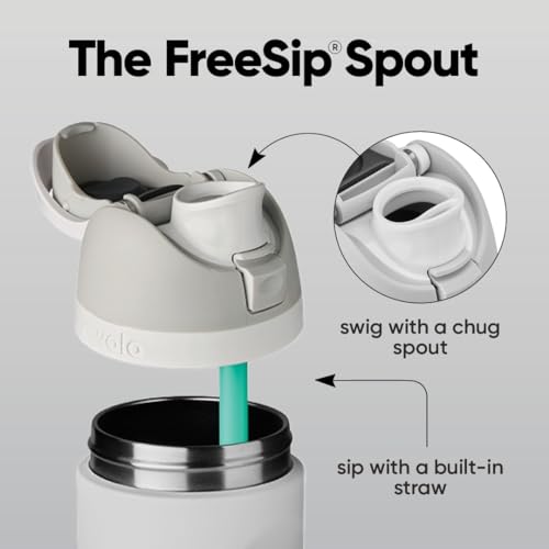 Owala FreeSip Stainless Steel Water Bottle 24 oz Peachy Keen