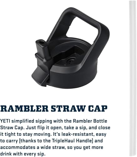 YETI Rambler 18 oz Bottle, Vacuum Insulated, Stainless Steel with Color Matching Straw Cap, Pace Purple
