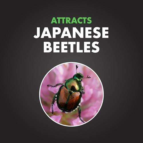 Spectracide Bag-A-Bug Japanese Beetle Trap Bundle, 1 Trap & 2 Refills | Includes 1 Trap & 2 Lure Refills, Protects Roses, Grapes, Fruit Trees & Vegetables, Traps Beetles Over 5,000 Sq. Ft. Area