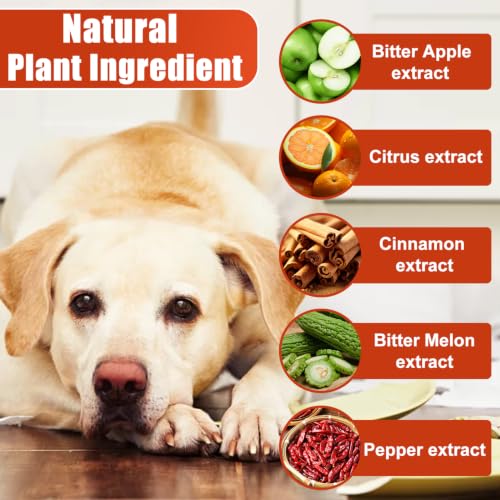 No Chew Spray for Dogs, 5.07 Oz Bitter Apple Spray for Dogs to Stop Chewing, Pet Deterrent Spray, Dog Anti Chew Spray for Furniture Protect, Prevent Dog Chewing Licking, No Bite & Marking