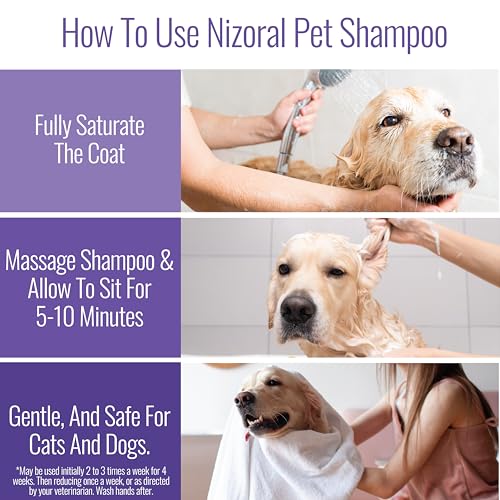 Nizoral Ketoconazole Pet Shampoo, 16 Oz, Chlorhexidine, Dogs & Cats | 1% Ketoconazole and 2% Chlorhexidine Gluconate treatment, antifungal, antimicrobial support for skin health and odor control