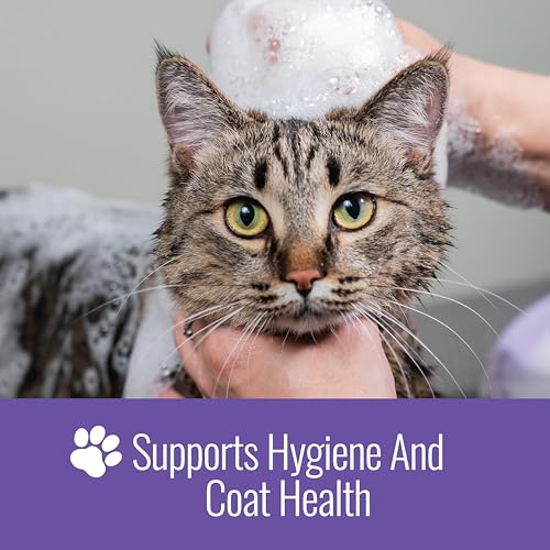 Nizoral Ketoconazole Pet Shampoo, 16 Oz, Chlorhexidine, Dogs & Cats | 1% Ketoconazole and 2% Chlorhexidine Gluconate treatment, antifungal, antimicrobial support for skin health and odor control