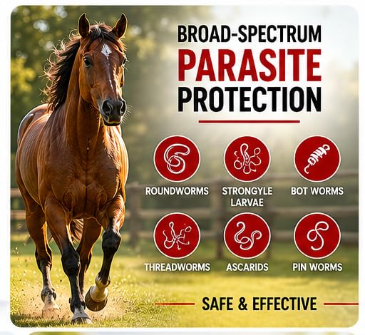 Horse Paste ivermectin 1.87% | Apple Flavored – 6.08g Syringe for Equine Use Only Up to 1250 LB
