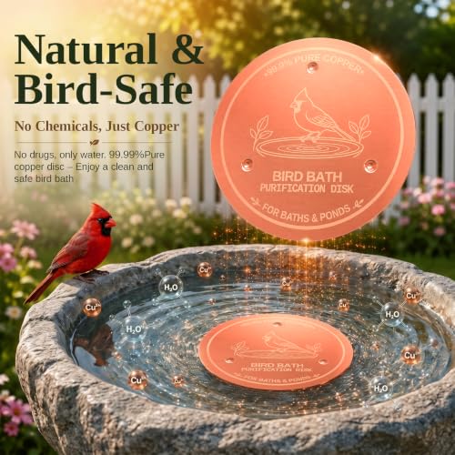 Copper Disc for Bird Bath, 99.9% Pure Copper (Cardinal) | Triple Point Support, Fits Bird Baths & Bowls, Reduces Mineral Buildup, Gift for Bird Lovers, Outdoor Garden Use