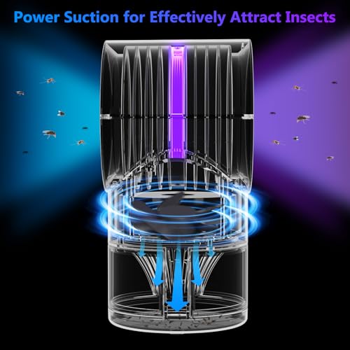 Fly Trap Indoor,Blue Gnat Traps House Indoor,Indoor Insect Trap with Timer | Fruit Fly Trap Indoors Suctions & Captures, 6/12Hr Timer, Kid & Pet Friendly, Low Noise, 10 Refills