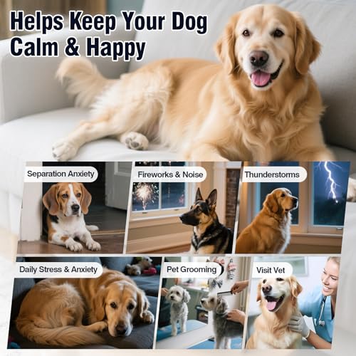 Calming Chews for Dogs 200ct, Dog Calming Chews - Anxiety and Stress Relief Treats Melatonin Bites Sleep Aid for Small/Medium/Large Dogs Calm Dog - Separation, Fireworks, Thunder, Barking - Chicken
