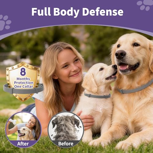 5 Packs Flea and Tick Collar for Dogs, Flea Collar for 40-Month Protection | 5 Pack Flea Collar for Dogs Waterproof&Adjustable Flea and tick Prevention Collar for Small Medium Large Dogs & Puppies, Grey