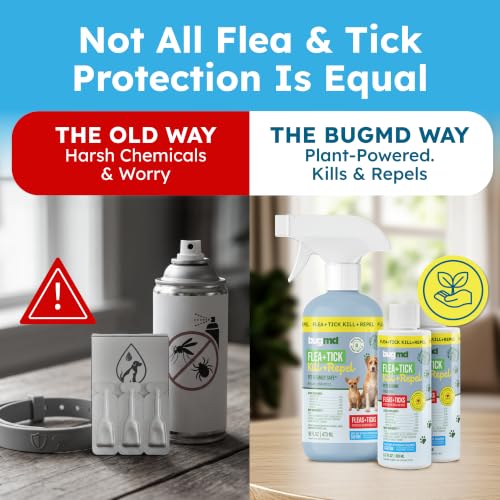 BugMD Flea and Tick Spray for Dogs - Kills & Repels on Contact | Plant-Powered Treatment for Home, Furniture and Carpet - Makes 32 oz | Starter Kit