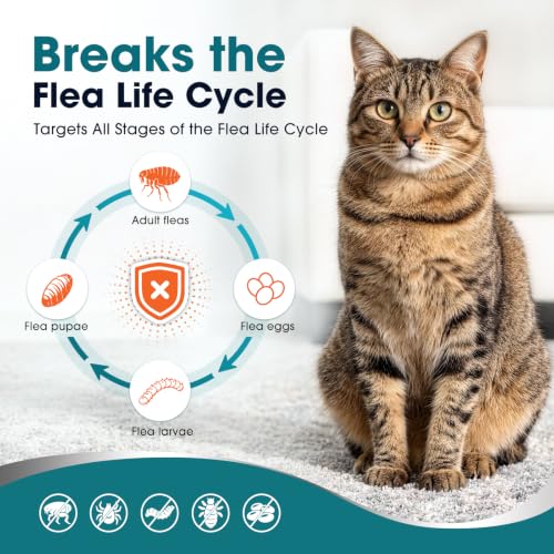 Topical Flea and Tick for Cats & Kittens Over 1.5 lbs, Waterproof, Monthly At-Home Cat Care for Cats 8 Weeks or Older, 6-Dose Supply