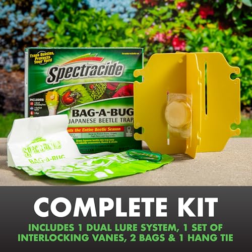 Spectracide Bag-A-Bug Japanese Beetle Trap Bundle, 1 Trap & 2 Refills | Includes 1 Trap & 2 Lure Refills, Protects Roses, Grapes, Fruit Trees & Vegetables, Traps Beetles Over 5,000 Sq. Ft. Area