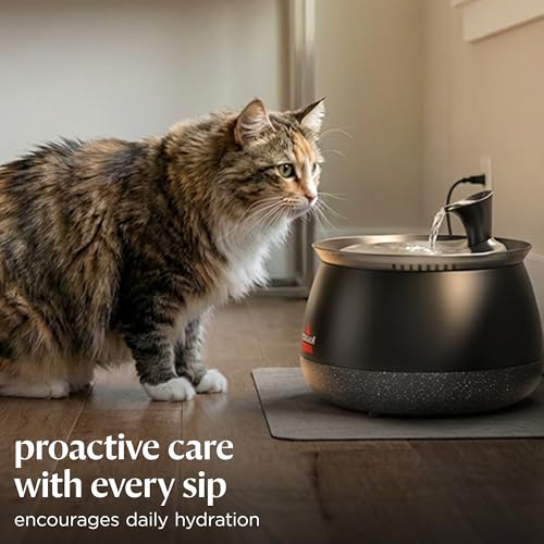BISSELL HydrateWell Cat Water Fountain, 91oz, 4408 | Wireless pump; SlimeShield technology; 5-layer filtration; ultra-quiet operation; automatic dispensing