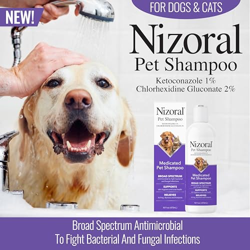 Nizoral Ketoconazole Pet Shampoo, 16 Oz, Chlorhexidine, Dogs & Cats | 1% Ketoconazole and 2% Chlorhexidine Gluconate treatment, antifungal, antimicrobial support for skin health and odor control