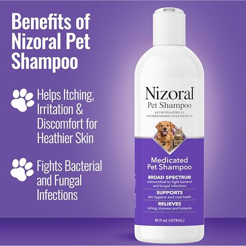 Nizoral Ketoconazole Pet Shampoo, 16 Oz, Chlorhexidine, Dogs & Cats | 1% Ketoconazole and 2% Chlorhexidine Gluconate treatment, antifungal, antimicrobial support for skin health and odor control