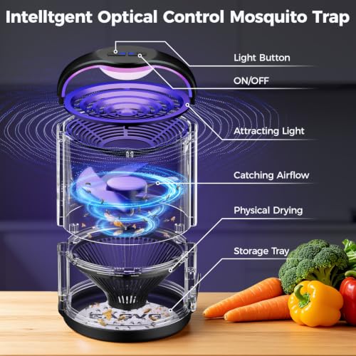 Fruit Fly Traps for Indoors, Indoor Fly Trap with Adjust Lighting, Black | Plug-in Gnat & Fruit Fly Killer for Home Kitchen Bedroom, with 10 Glue Refills