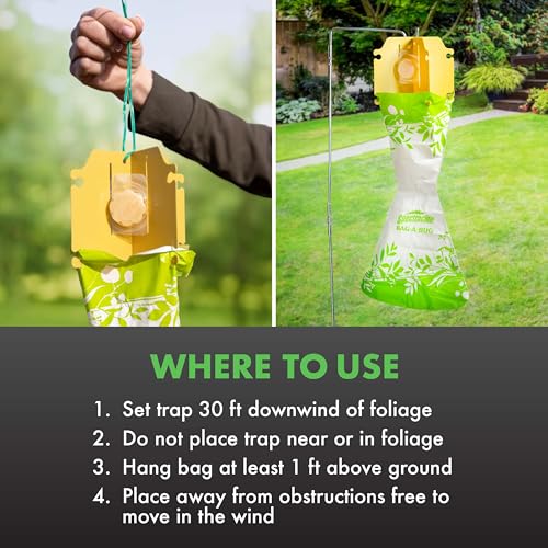 Spectracide Bag-A-Bug Japanese Beetle Trap Bundle, 1 Trap & 2 Refills | Includes 1 Trap & 2 Lure Refills, Protects Roses, Grapes, Fruit Trees & Vegetables, Traps Beetles Over 5,000 Sq. Ft. Area