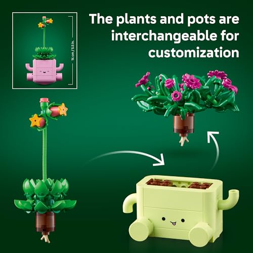 LEGO Botanicals Rocking Plants - Building Toy for Kids, Girls & Boys, Ages 9+ - Decor for Dorm Desk or Shelf - Housewarming Gift Ideas - 11506