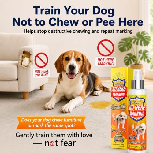 Bitter Apple Spray & Dog Potty Training Spray, 2-in-1 Dog Deterrent Spray to Stop Chewing, Marking and Gnawing, Anti‑Chew Training Aid for Furniture, Carpet, Floors & Shoes, Indoor and Outdoor Use