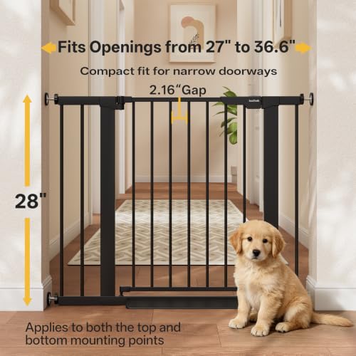 InnoTruth 27-36.6 in Wide Baby Gate for Stairs and Doorways, Black | Indoor Metal Dog Gate for Pets, Auto Close 2 Way Swing Walk Through Door, Double Lock & Y-Bolts, Pressure or Hardware Mount