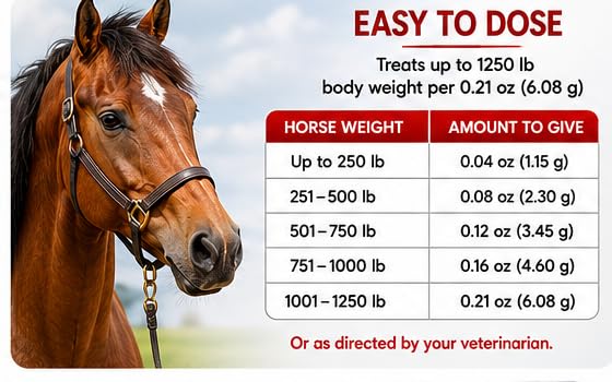 Horse Paste ivermectin 1.87% | Apple Flavored – 6.08g Syringe for Equine Use Only Up to 1250 LB