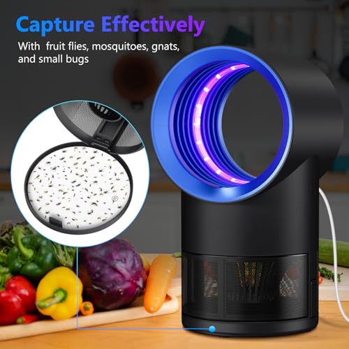 Fly Trap Indoor,Blue Gnat Traps House Indoor,Indoor Insect Trap with Timer | Fruit Fly Trap Indoors Suctions & Captures, 6/12Hr Timer, Kid & Pet Friendly, Low Noise, 10 Refills
