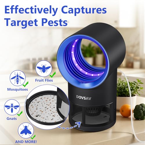Fruit Fly Traps for Indoors, Blue Gnat Trap Indoor with Suction & Timer | Uv Light Lures Fruit Flies/Gnats, Timer 6/12hrs, Plug in Fly Trap with Suction, Kid & Pet Applicable, Low Noise, 10 refills