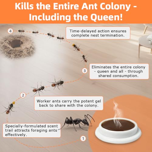 48 Pack Slow-Acting Ant Bait Gel Stations for Indoor & Outdoor Eliminate Entire Ant Colony, Effective Carpenter Ant Killer Ant Traps for Home Kitchen Bathroom, Long Lasting Ant Gel Bait, Ready-to-Use