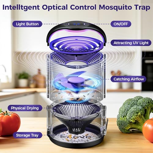 Fly Trap Indoor, Fruit Fly Traps for Indoors Suction & Adjust Light, Black | Plug-in Gnats Killer Catcher with 365-395 nm Wavelengths for House Flies, Mosquito, Bug, Gnats, Low Noise, 10 Refills