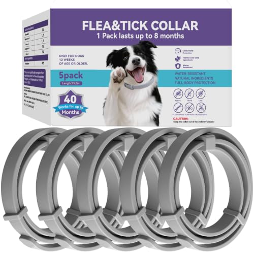 5 Packs Flea and Tick Collar for Dogs, Flea Collar for 40-Month Protection | 5 Pack Flea Collar for Dogs Waterproof&Adjustable Flea and tick Prevention Collar for Small Medium Large Dogs & Puppies, Grey