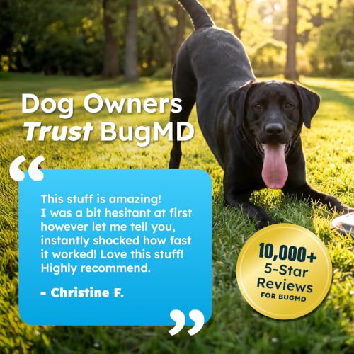 BugMD Flea and Tick Spray for Dogs - Kills & Repels on Contact | Plant-Powered Treatment for Home, Furniture and Carpet - Makes 32 oz | Starter Kit
