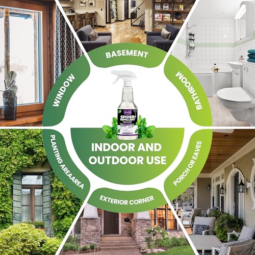 Peppermint Oil Insect & Spider Repellent Spray - All-Natural, Pet-Safe Bug Control for Home, Kitchen & Garden - 16 oz