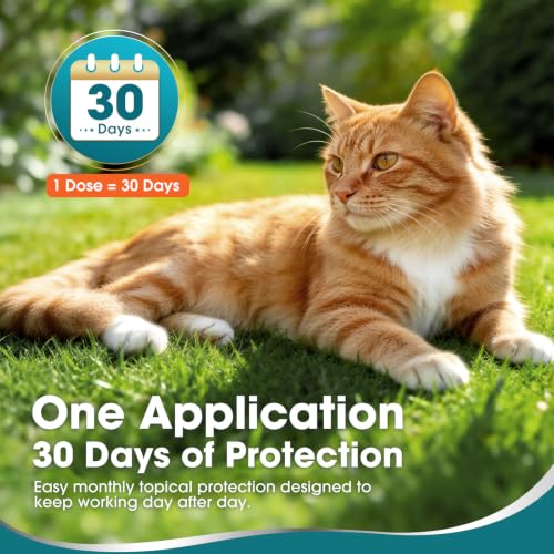 Topical Flea and Tick for Cats & Kittens Over 1.5 lbs, Waterproof, Monthly At-Home Cat Care for Cats 8 Weeks or Older, 6-Dose Supply