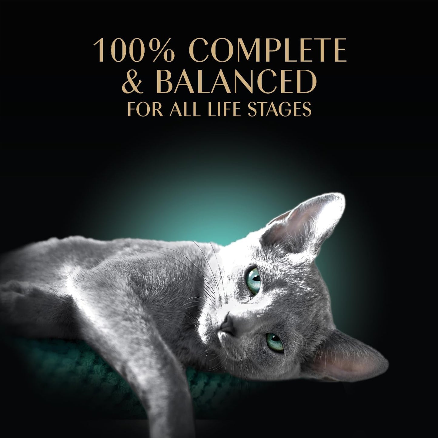 Sheba Perfect Portions Wet Cat Food Cuts in Gravy, Cat Food Wet Recipe, Roasted Chicken Entree, with Sustainable Salmon, Tender Turkey Entree, 2.6 oz. Twin-Pack Trays (24 Count, 48 Servings)