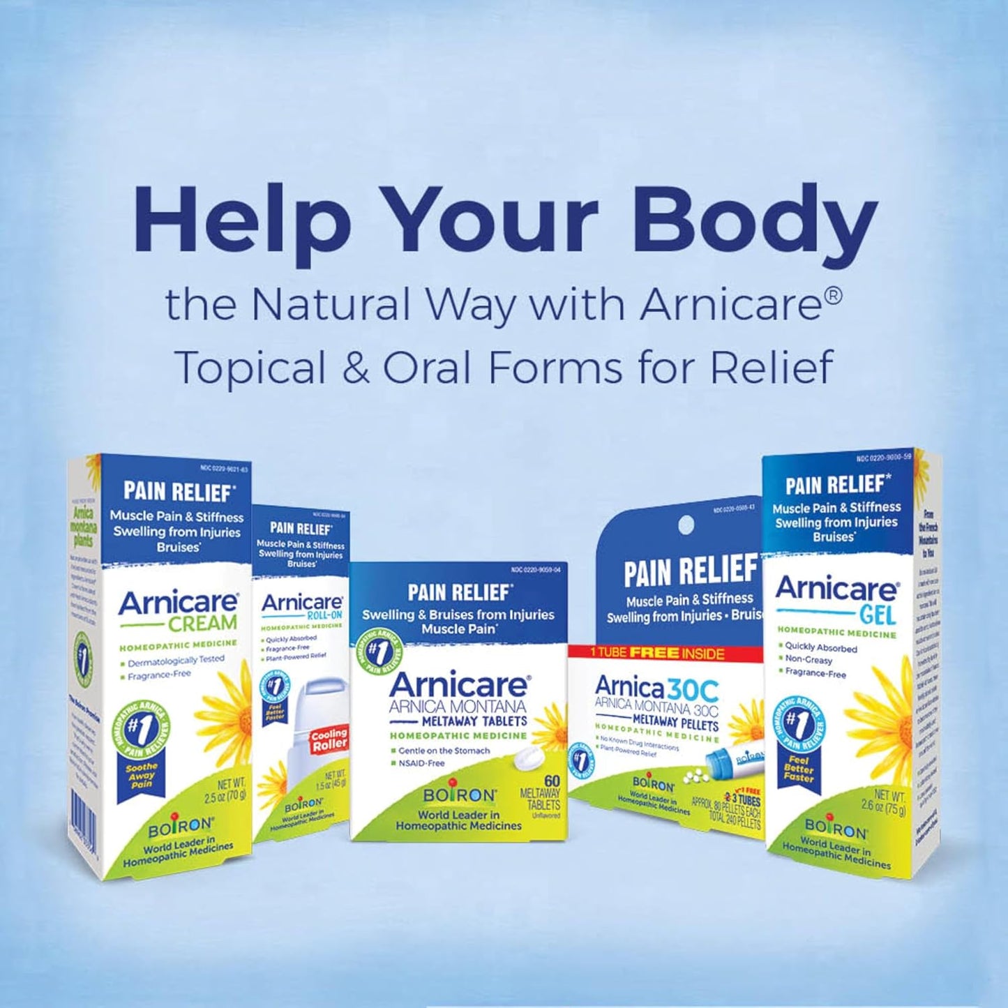 Boiron Arnica Montana 30C Homeopathic Medicine for Relief from Muscle Pain, Muscle Stiffness, Swelling from Injury, and Discoloration from Bruises - 3 Count (240 Pellets)