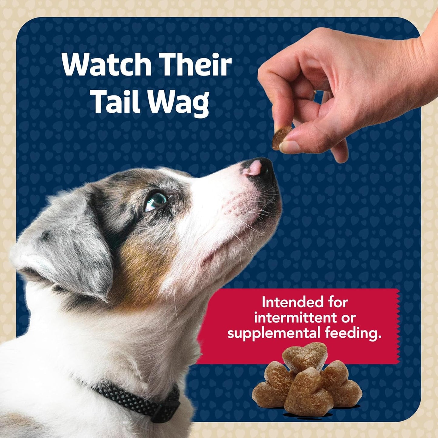 Blue Buffalo Bits Soft Dog Treats for Training, Made with Natural Ingredients & Enhanced with DHA, Beef Recipe, 19-oz Bag