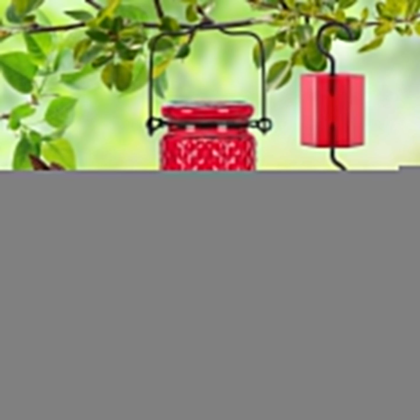 FEED GARDEN Glass Hummingbird Feeder, 16oz Outdoor Hanging Bird Feeder with Ant Moat, 4 Bee-Proof Feeding Ports, 360å¡ Perch, Leak-Proof, Red